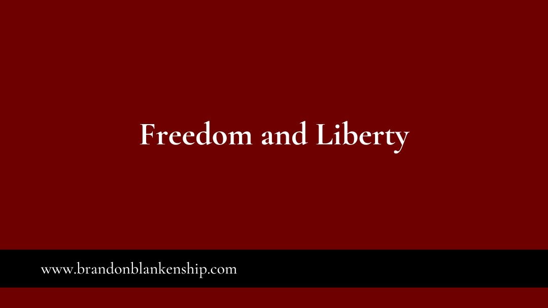 The Distinction Between Freedom and Liberty in the Context of the Federalist and Anti-Federalist Papers